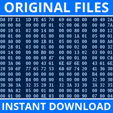 0285013489 - 68303218AA Dodge RAM AIRBAG SRS files CRASH + CLEAR
